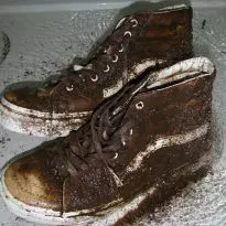cleaning Vans and other stories